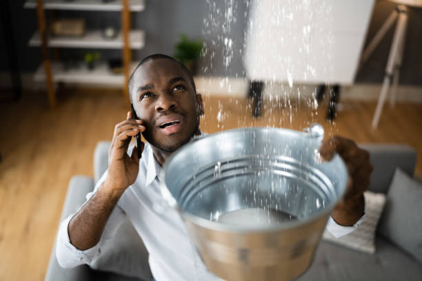 Best Flood damage cleanup  in Upper Arlington, OH