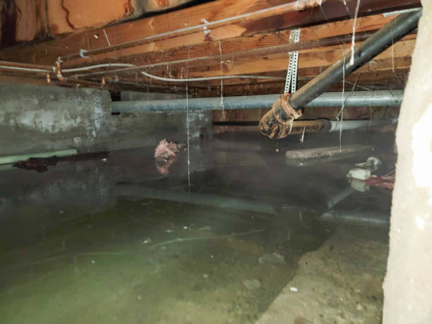 Best Carpet water damage restoration  in Upper Arlington, OH