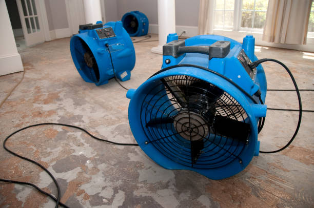 Best Water damage contractors near me  in Upper Arlington, OH