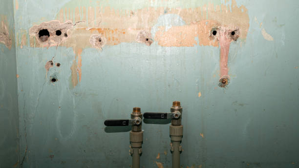 Best Emergency water damage restoration  in Upper Arlington, OH