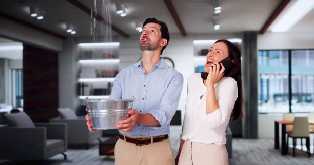 Best Mold removal after water damage  in Upper Arlington, OH