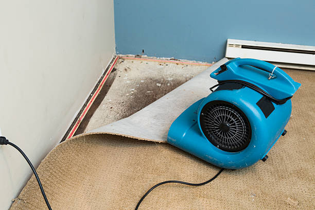 Best Fire Damage Restoration  in Upper Arlington, OH